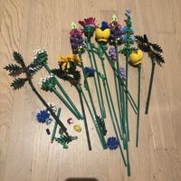 LEGO Botanicals Wildblumenstrauß - Kunstblumen Set für Erwac