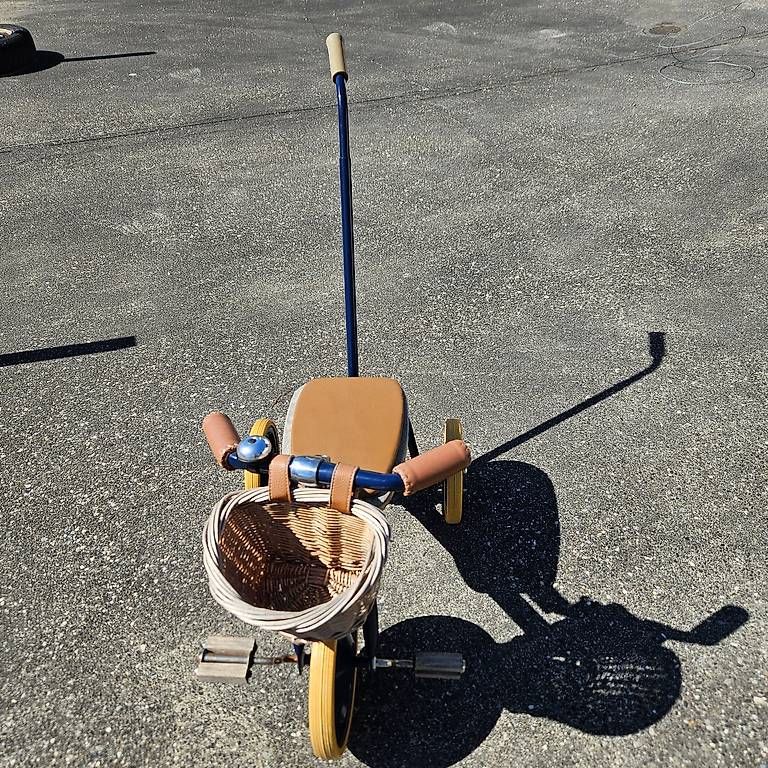 Banwood Veicoli per bambini: BANWOOD DREIRAD – Usato da Binningen venduto da Valentina.23 1