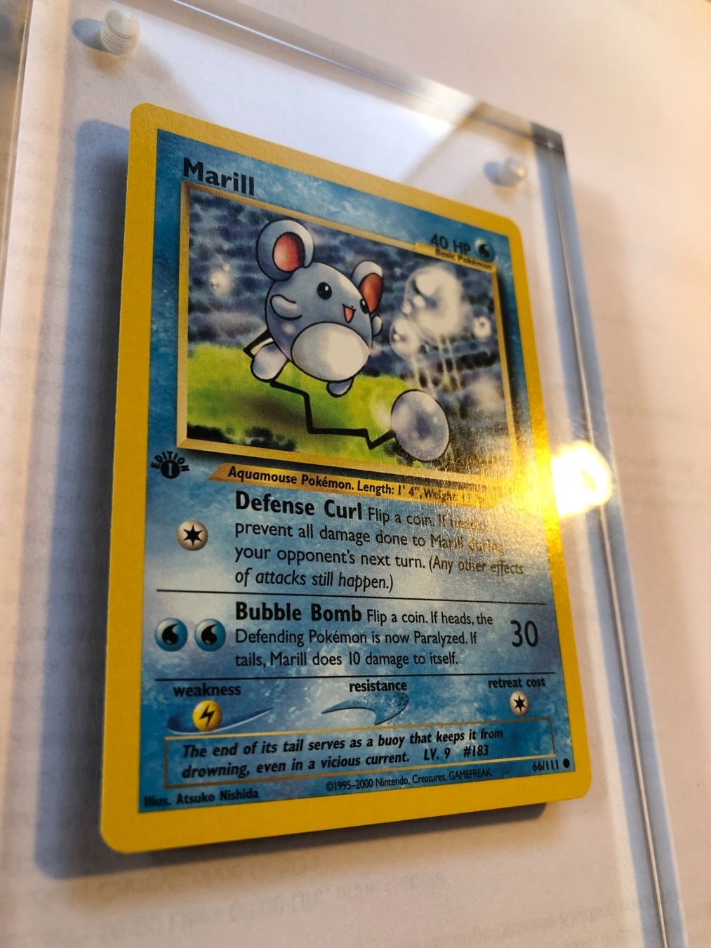 Carte collezionabili: Marill 1st Neo Genesis - MINT - ab 1.- – Usato da Giubiasco venduto da dan_pr8b 1