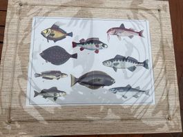 Magnifique lithographie en couleur de poissons