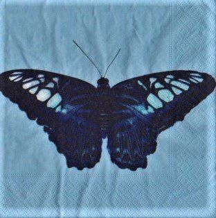 Servietten: 2 Servietten Schmetterling – Neu (gemäss Beschreibung) aus Basel von Happybaer