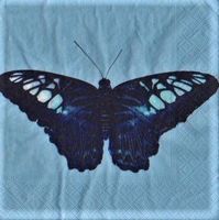 2 Servietten Schmetterling