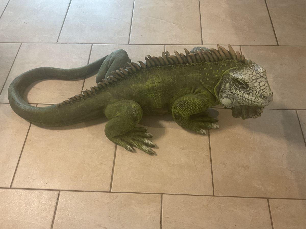 Statuette: Coole Deko-Echse für den Garten oder das Wohnzimmer! – Usato da Balterswil venduto da oal_r7cp