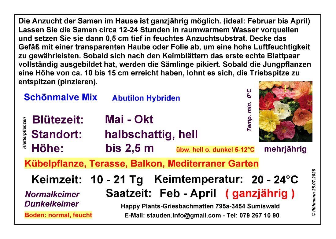 Pflanzen & Samen: Schönmalve Mix - Abutilon-Hybriden - 30 Samen – Neu und originalverpackt aus Sumiswald von Cham14558 2