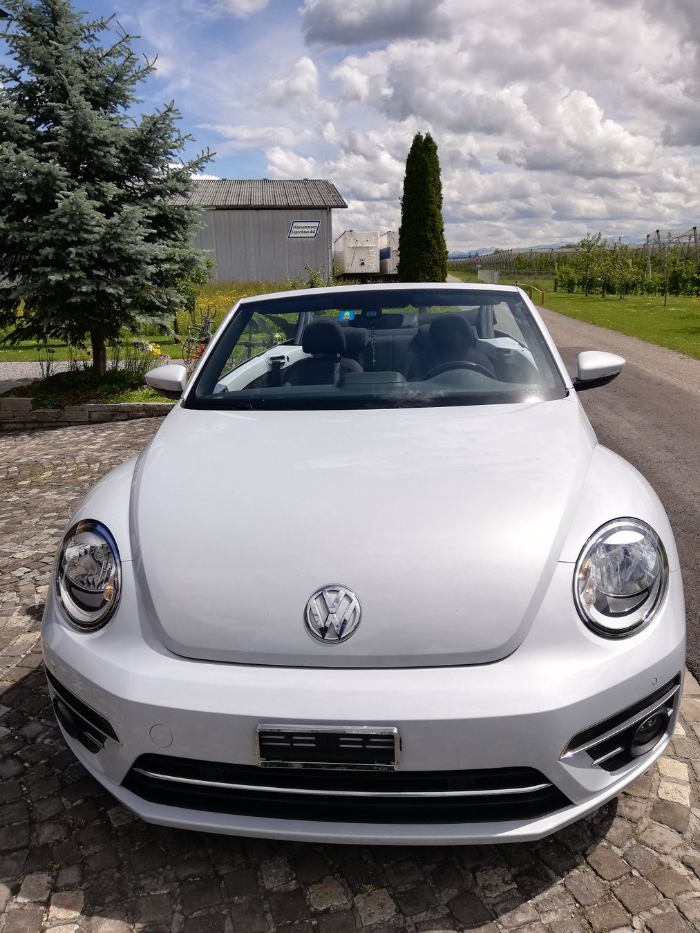 VW Automobili: VW Beetle Cabriolet – Usato da Märstetten venduto da Ree65 5