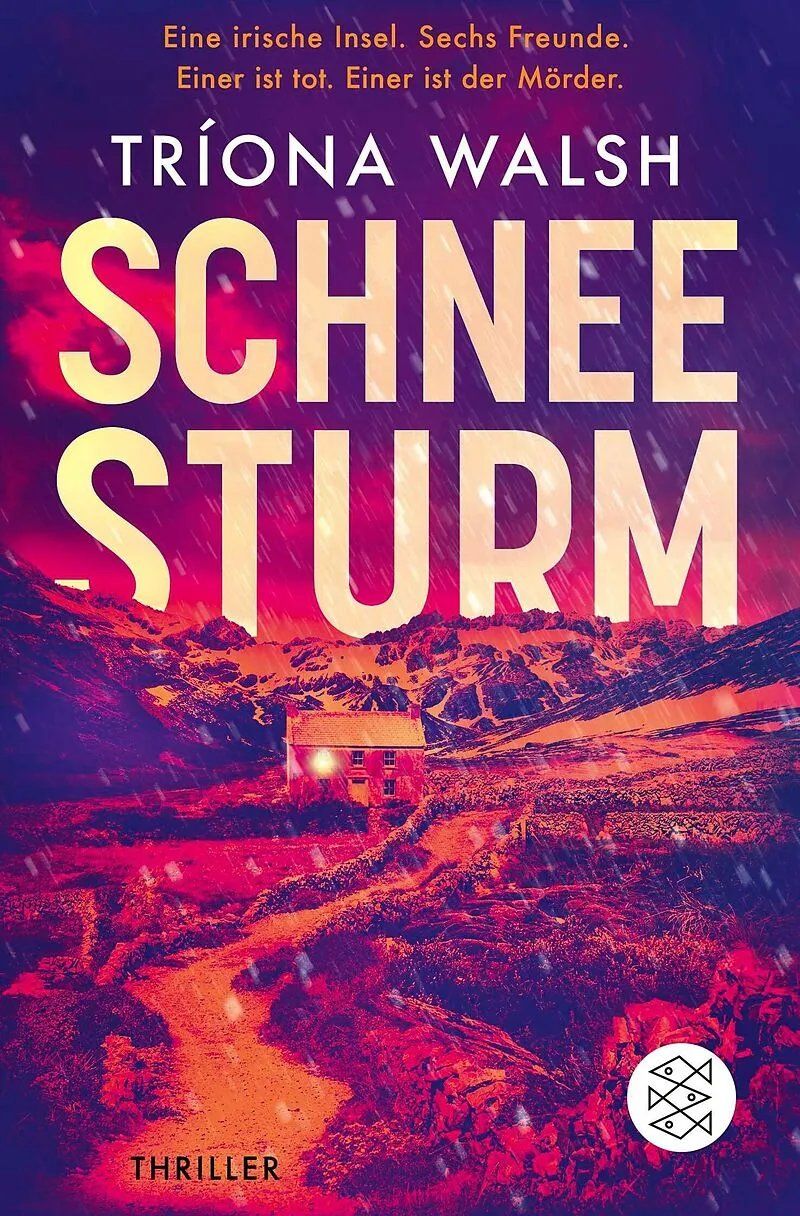 Libri: Spannende Thriller – Usato da bern venduto da jeannie2006 5