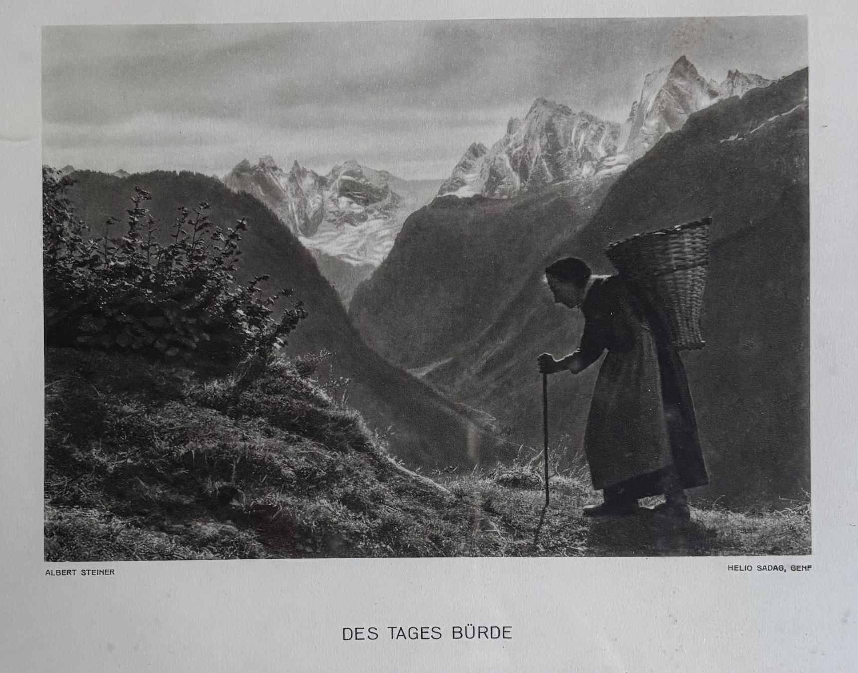 Albert Steiner, Des Tages Bürde, Heliogravure, VINTAGE (D'occasion) à ...