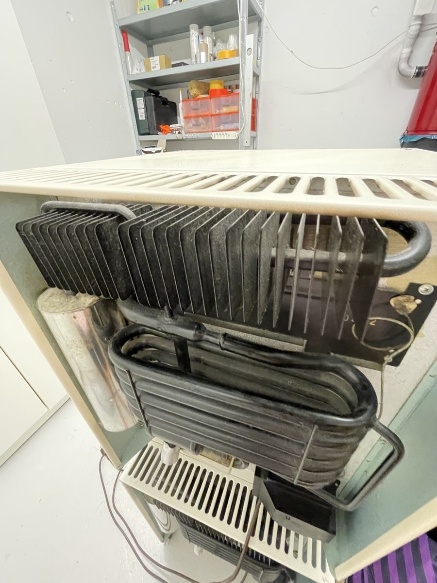 Frigoriferi: Mini Kühlschrank Elektrolux – Usato da Kriens venduto da Nino04 5