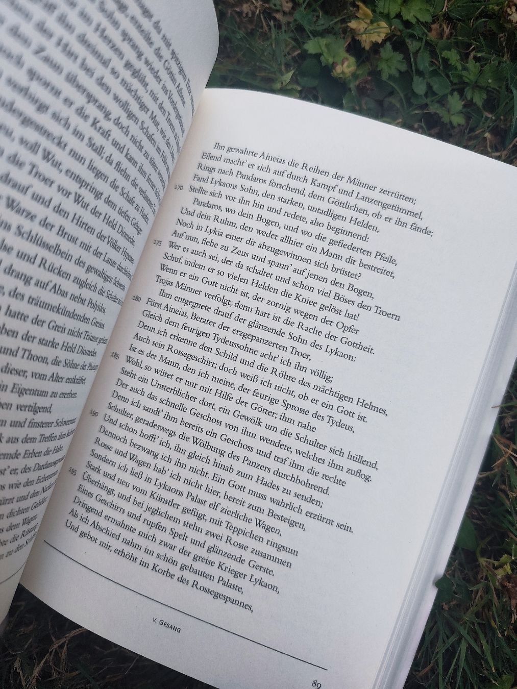 Bücher: Homer Odyssee Ilias – Gebraucht aus Mägenwil von VintageGirly 6
