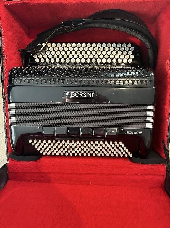 Strumenti musicali: Akkordeon Borsini  – Usato da St. Antoni venduto da onyx225 2