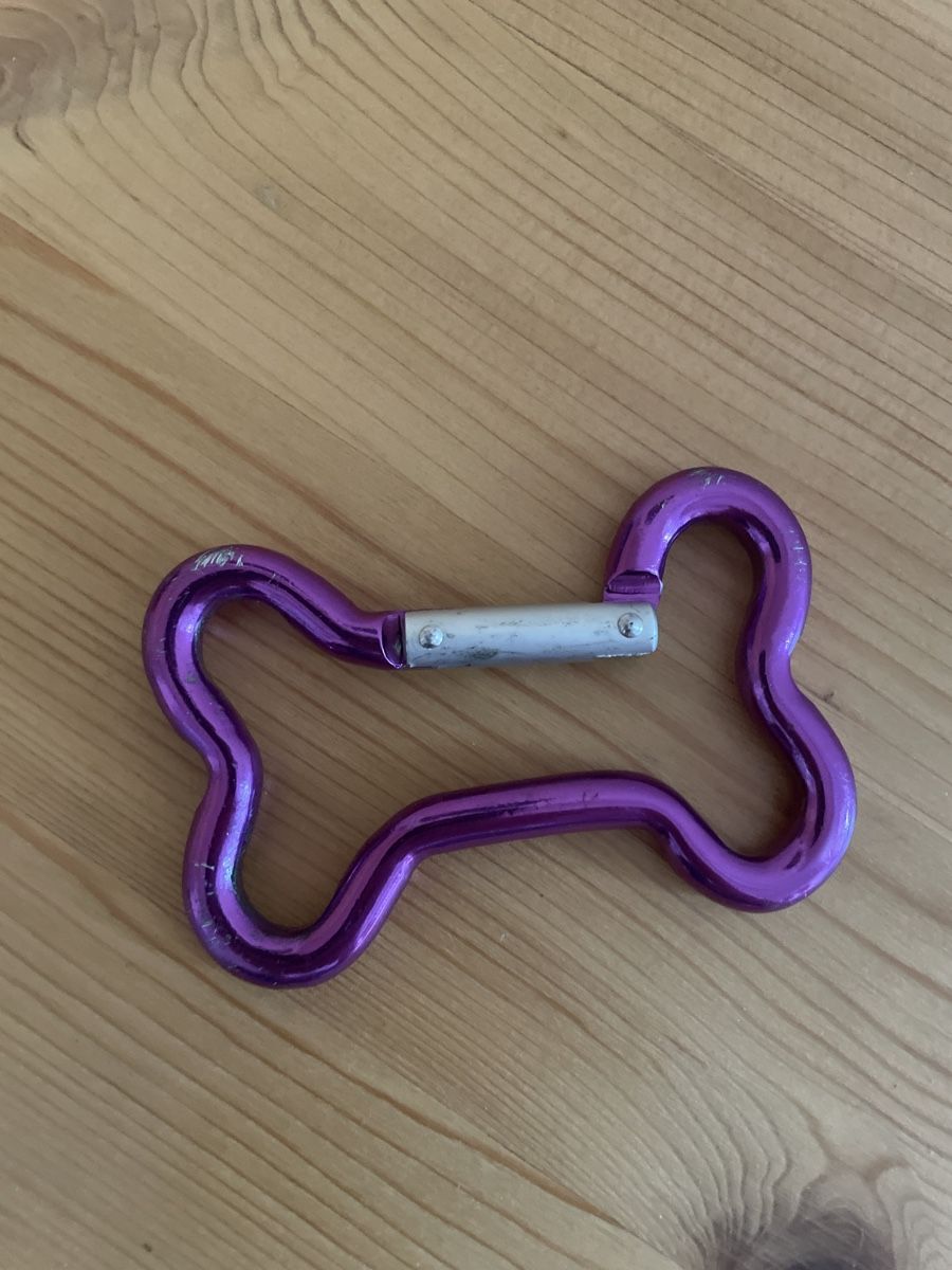 Attrezzatura da arrampicata: Lila Hunde Knochen Karabiner – Usato da Spreitenbach venduto da Gloxinia 1