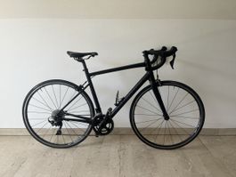 Rennrad Specialized Allez & DT Swiss Grösse 54 guter Zustand