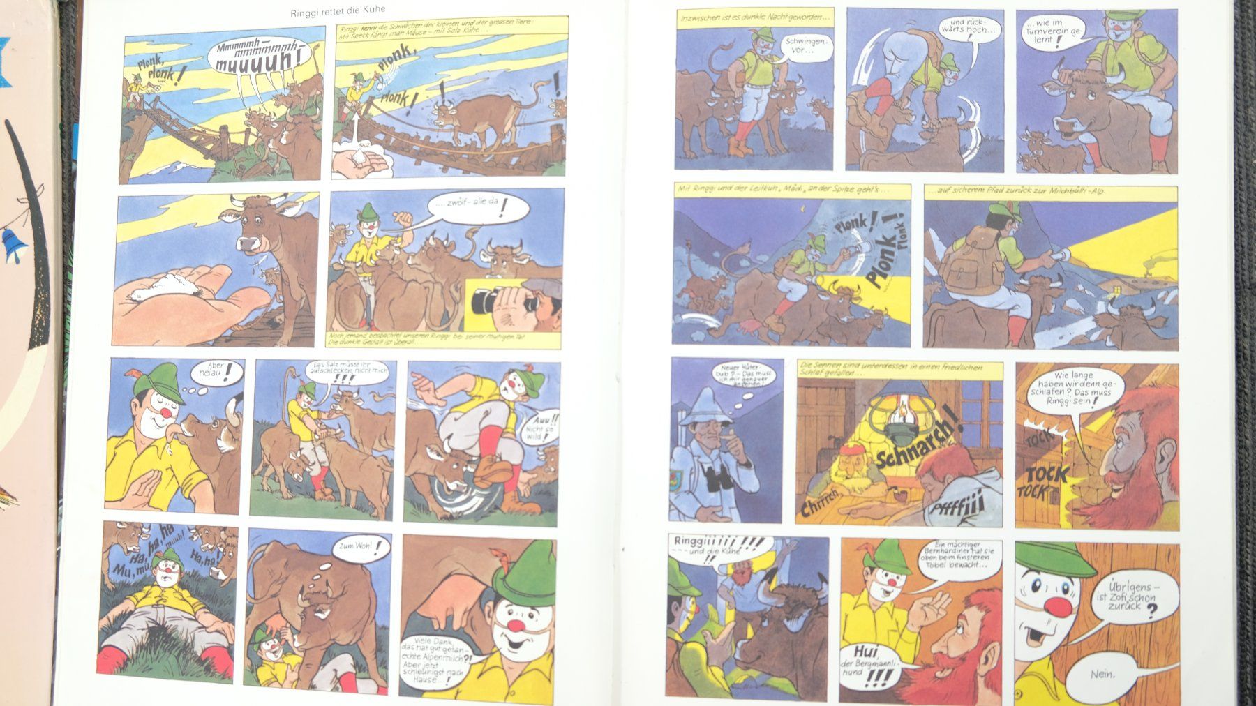 Fumetti: Ringgi + Zofi Comics Konvolut 11 Stk. – Usato da Volketswil venduto da brockipfannenstil 2