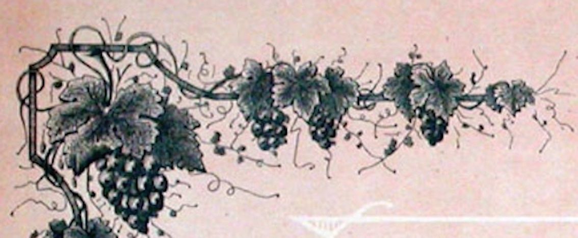 Documenti: La Vigne, Toulouse - 1891 – Usato da Solothurn venduto da Sgasche 1