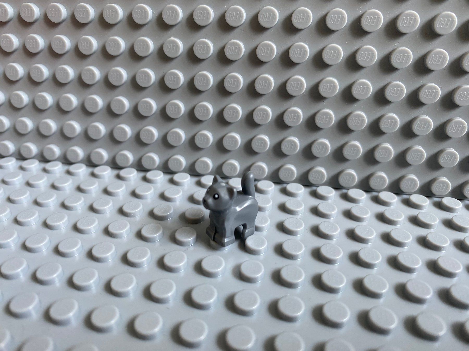 Lego Baukästen: Lego Tiere - Katze Baby – Neu (gemäss Beschreibung) aus Horw von G39517sG
