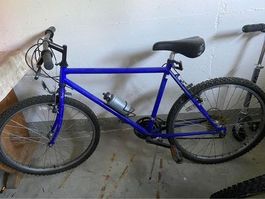 Fahrrad Velo blau