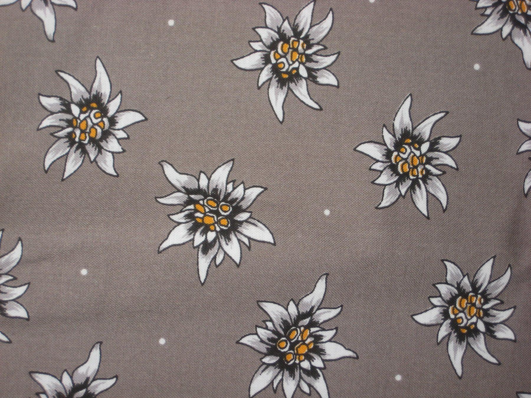 Tessuti: Baumwollstoff taupe mit Edelweiss – Nuovo e nell'imballaggio originale da Füllinsdorf venduto da Schlupp 1