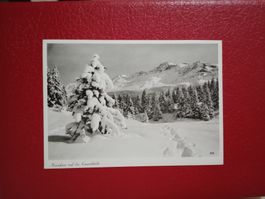 Lenzerheide Neuschnee s/w Karte Verlag Kurt Heinze