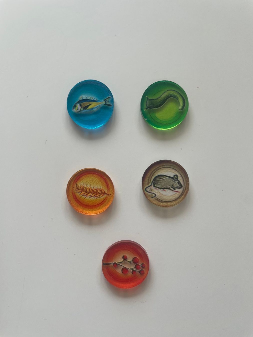 Giochi: Flügelschlag Tokens aus Acryl – Usato da Winterthur venduto da fishkopp