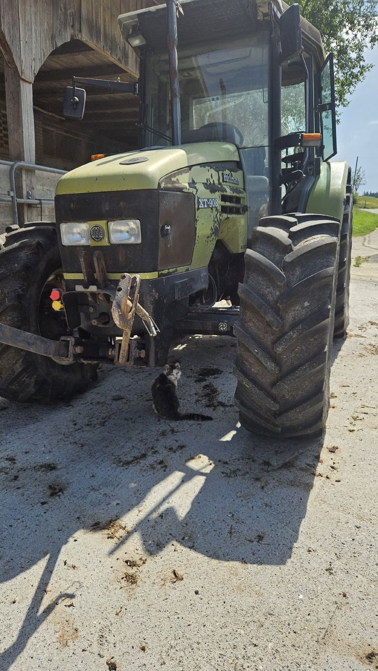 Hürlimann Traktoren: Traktor Hürlimann XT 908 für Export – Defekt aus Emmenbrücke von raphaelbuehlmann 3