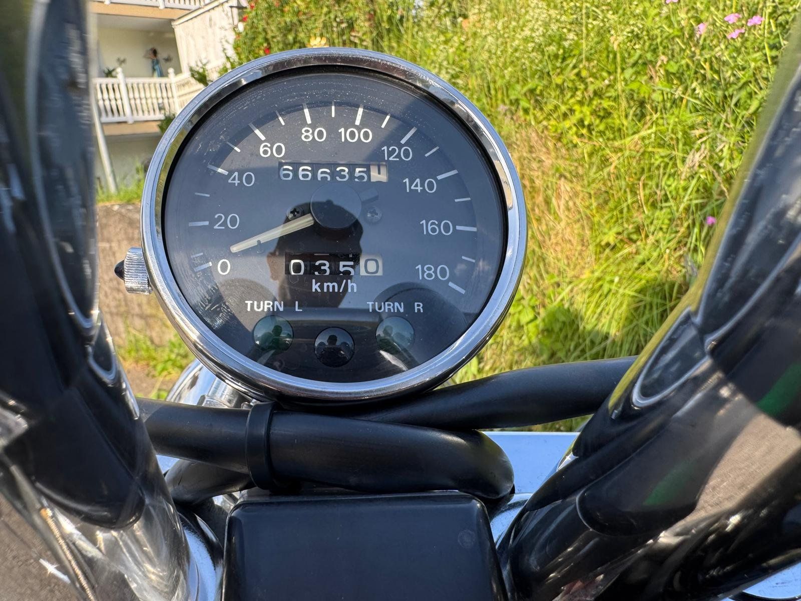 Suzuki Chopper: Suzuki VS 800 GLP – Usato da Büsserach venduto da Priska6 6