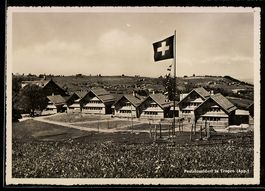 AK Trogen /App., Pestalozzidorf