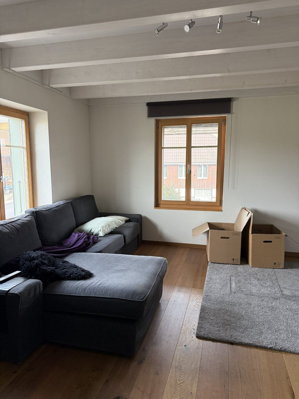 Ikea Divani: Sofa grau – Usato da Reutigen venduto da alisha_553 1