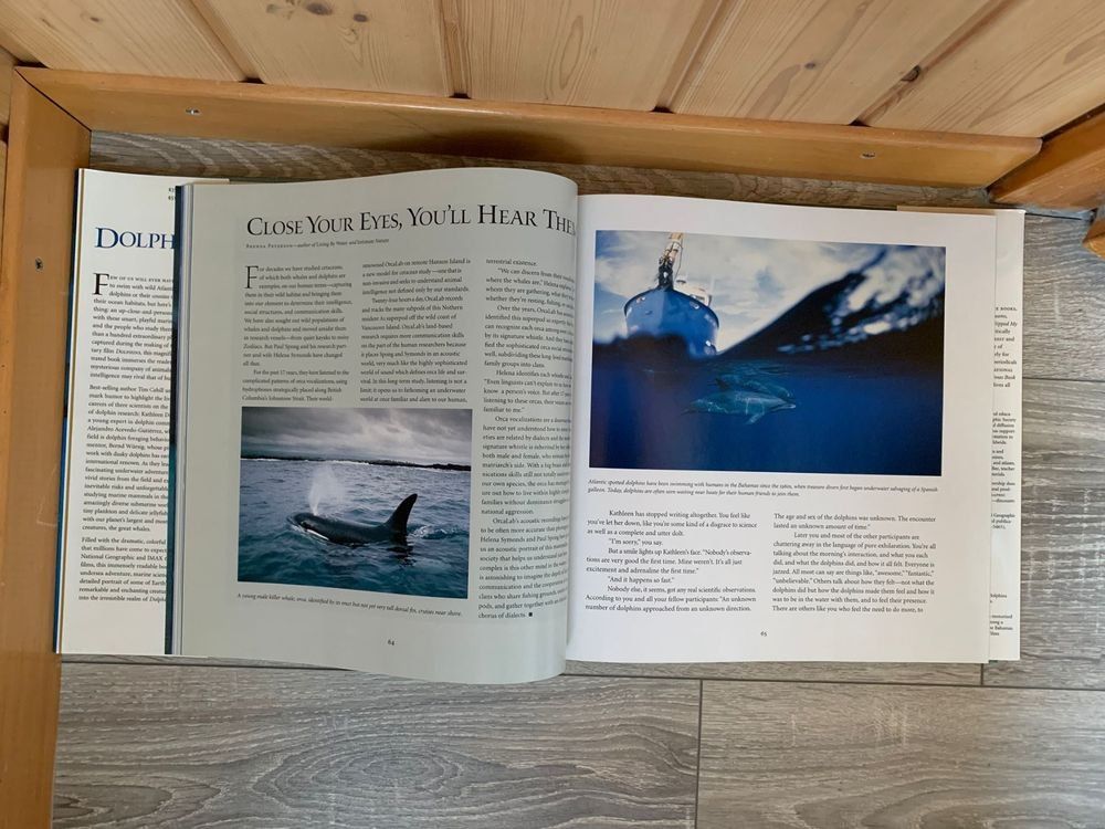 Libri: National Geographic: Dolphins by Tim Cahill – Usato da Oberbütschel venduto da bungerte82 1