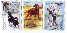 Briefmarken "Russisch-Europäische Laika, Irish Setter".