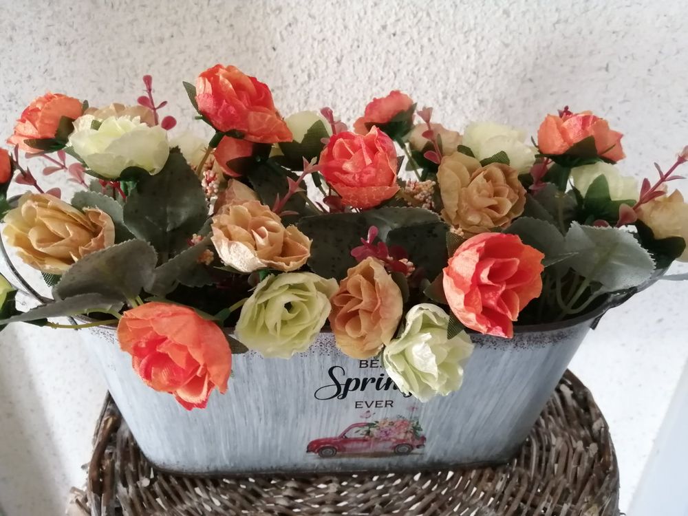 Seltene Rosen-Rhizome - Mehrjährige Gartenrosen Für Frühling & Herbst (einfache Pflege)