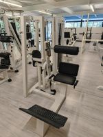 Gym80 Rückenstrecker (Back Extension)