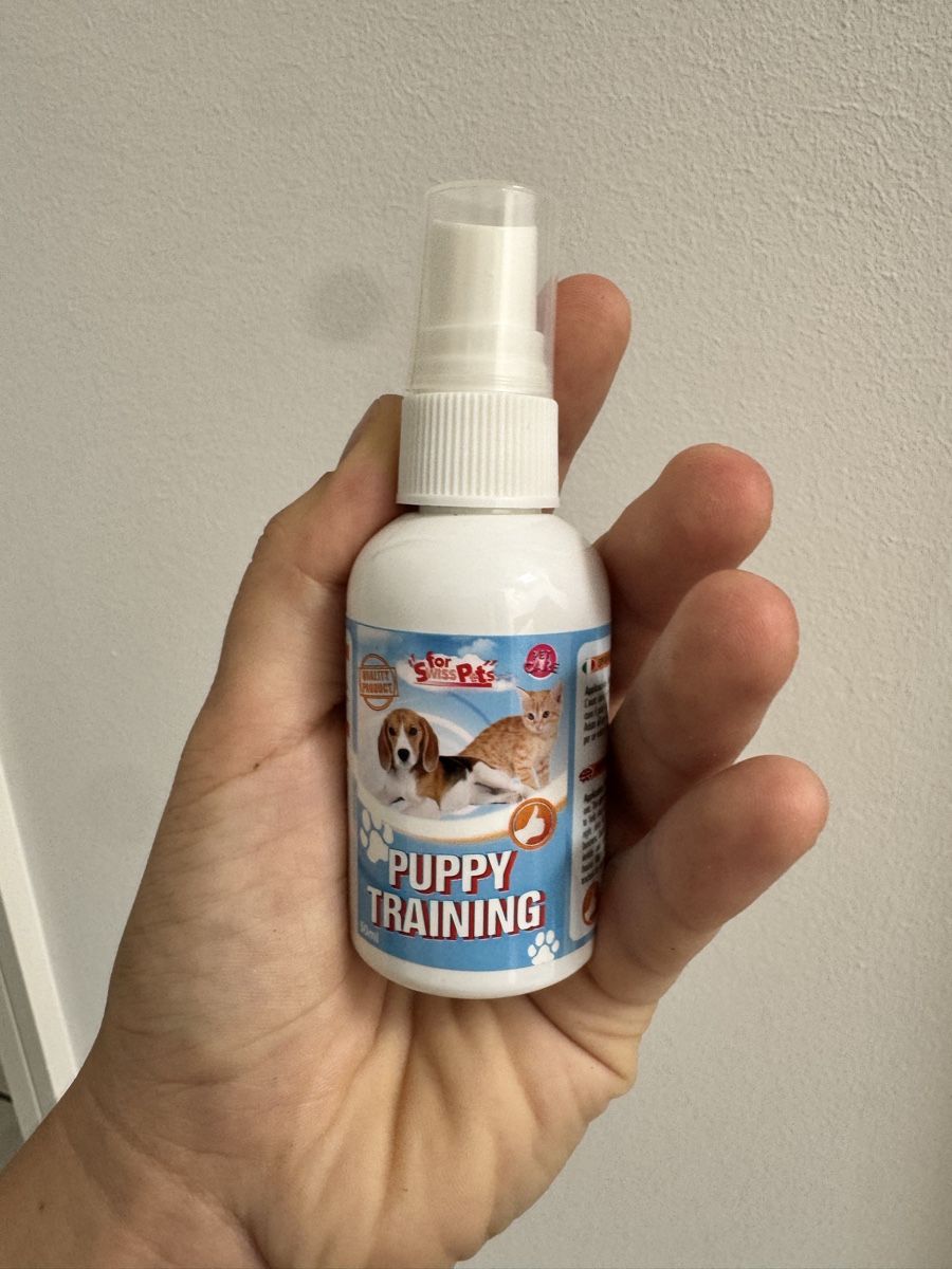 Niches, paniers: Dog set – D'occasion à Porza par kaj_d5q7 3