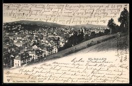 AK St. Gallen, Panorama der Stadt mit Weide am Hang