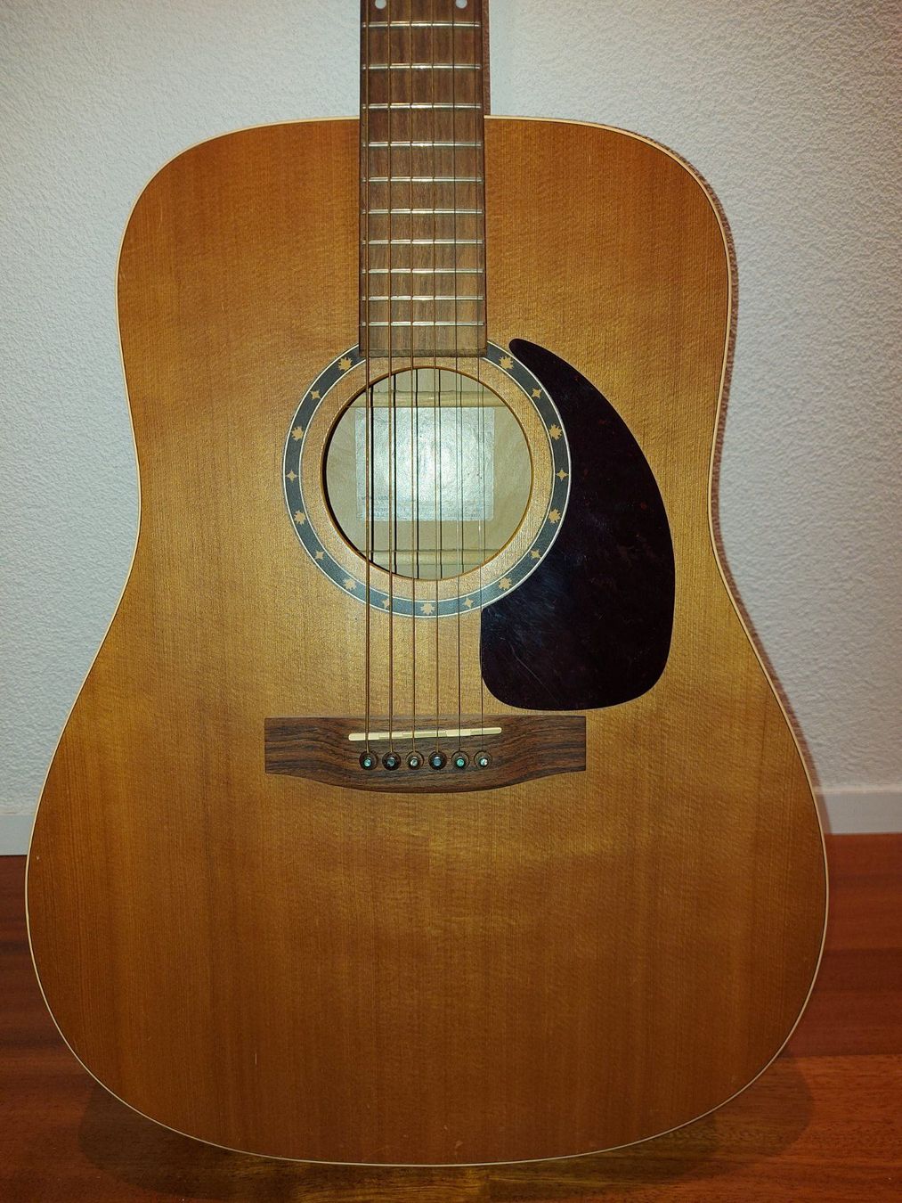 Strumenti musicali: Westerngitarre Norman B20 (6) – Usato da Cham venduto da Roli692