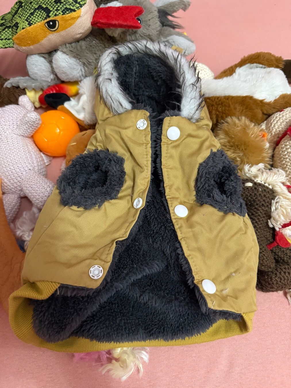 Giocattoli: 31 Teiliges Neuwertiges Hundepaket – Usato da Uster venduto da SAMMELPOST 5