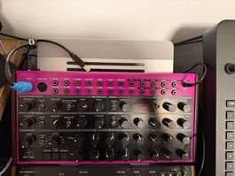 Behringer EDGE – sehr guter Zustand / Garantie bis 02.2028