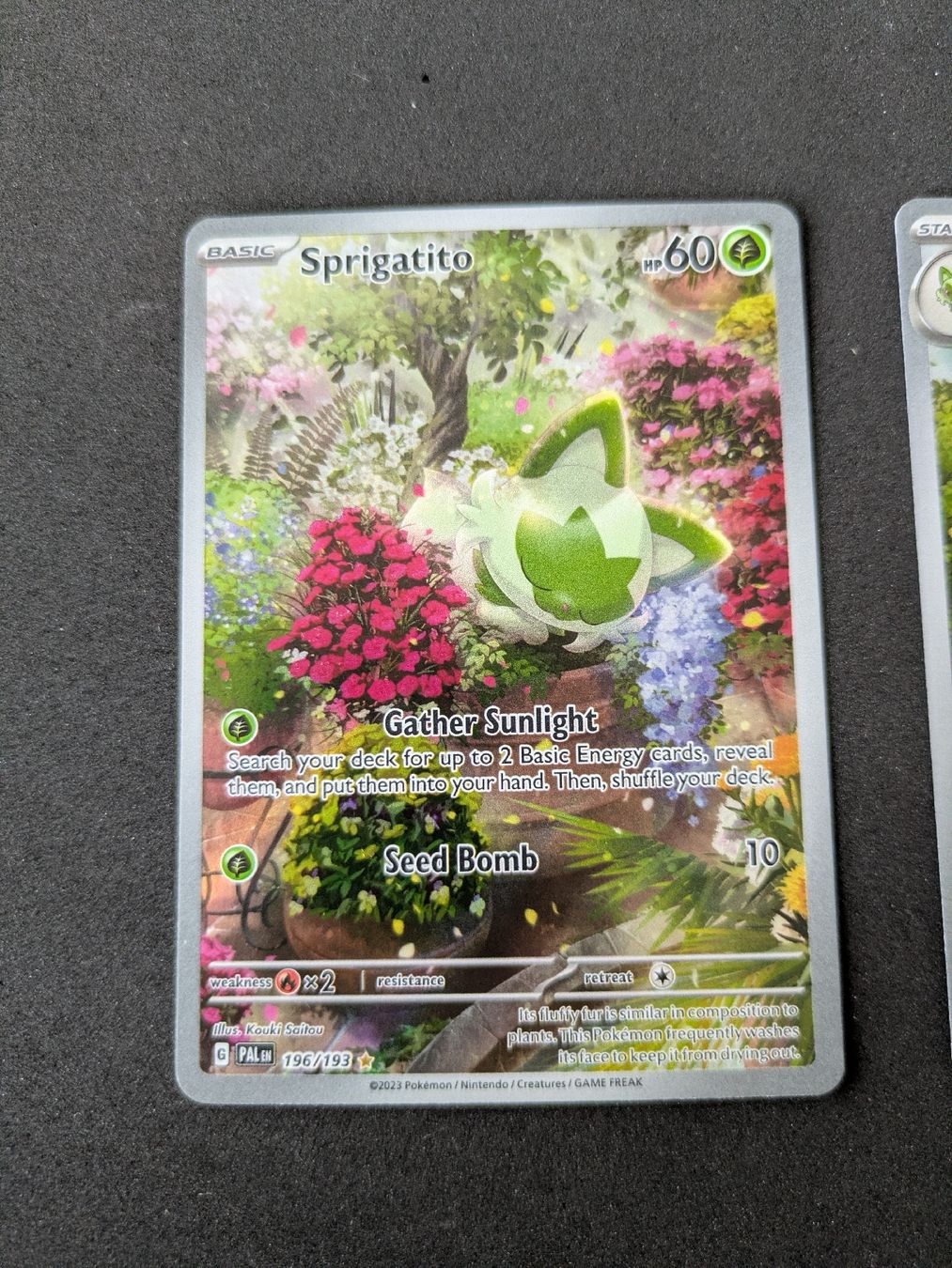 Pokémon Carte collezionabili: Sprigatito, Floragato+Meowscarada (Paldea Evolved) – Nuovo (secondo la descrizione) da Hochdorf venduto da NoctisCaelum 1