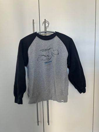 Pullover von Zara