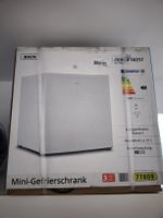 Nordfrost Mini-Gefrierschrank 31L, neuwertig