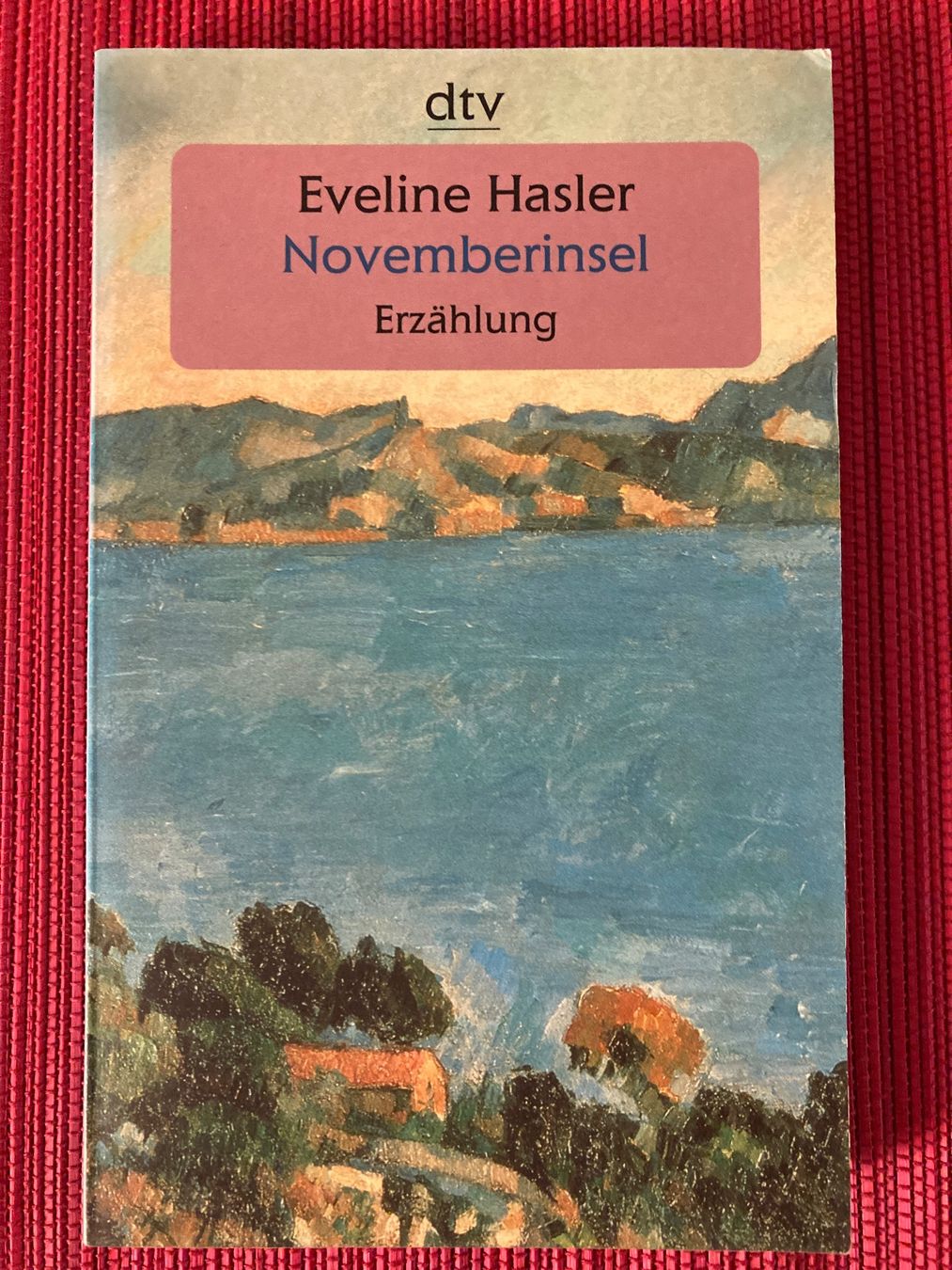 Libri: Eveline Hasler,  Novemberinsel – Usato da Baden venduto da Yoyo1