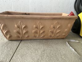 Terracota pot 