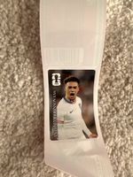FIFA Karte Antonee Robinson (USA) - 2026