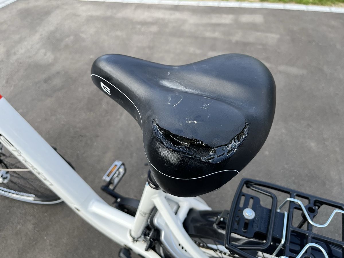Biciclette: E-Bike weiss – Usato da Gutenswil venduto da HMrank 5