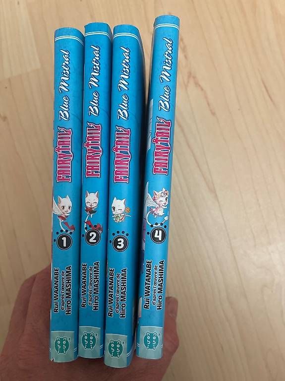 Libri: Fairytail blue mistral – Usato da Chezard-St-Martin venduto da Porschemeyery 1