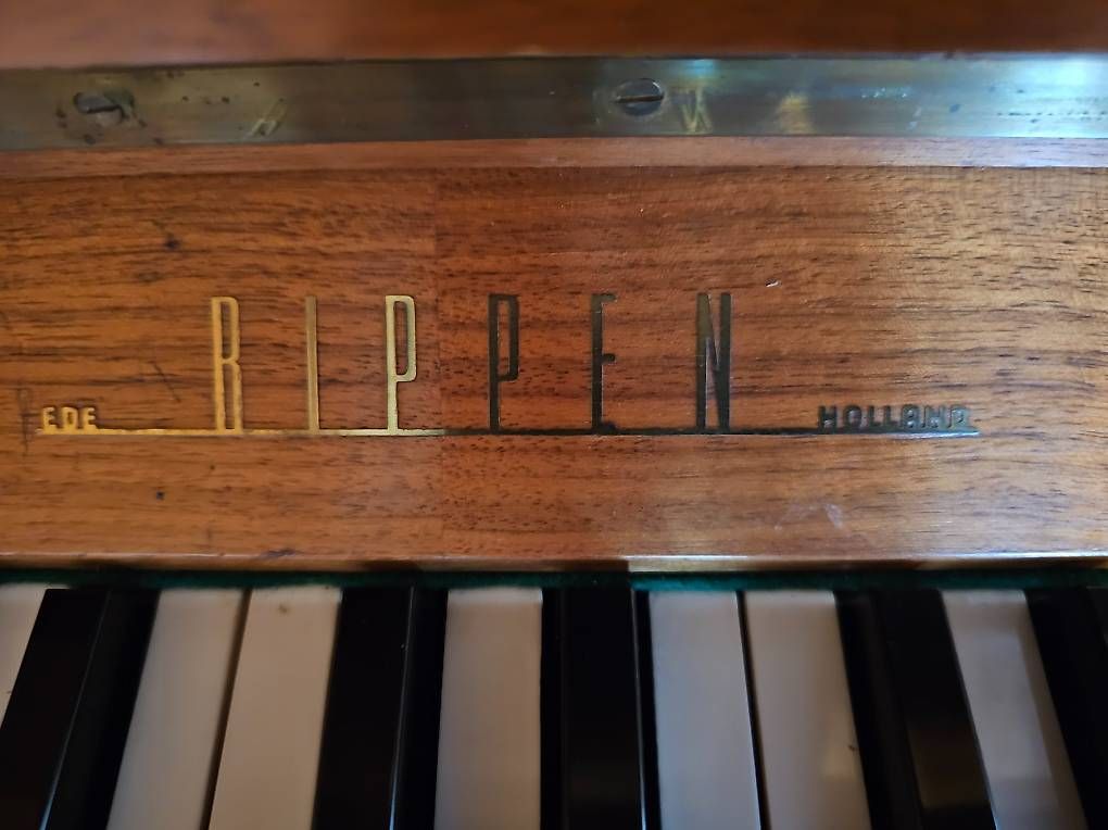 Strumenti musicali: Klavier der Marke Rippen – Usato da Sutz venduto da Anker06 2