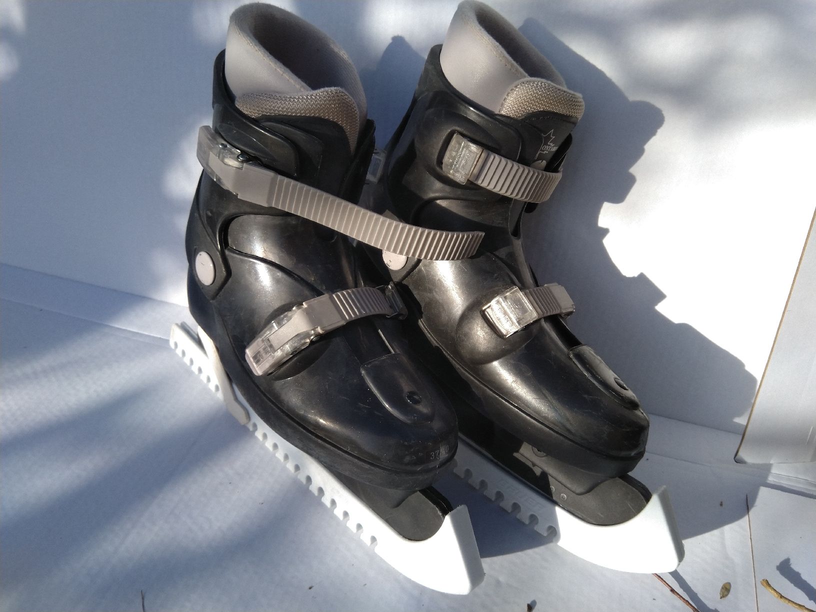 Schlittschuhe: Schlittschuhe Ontario 37-40 – Gebraucht aus Bassersdorf von Narvik2000