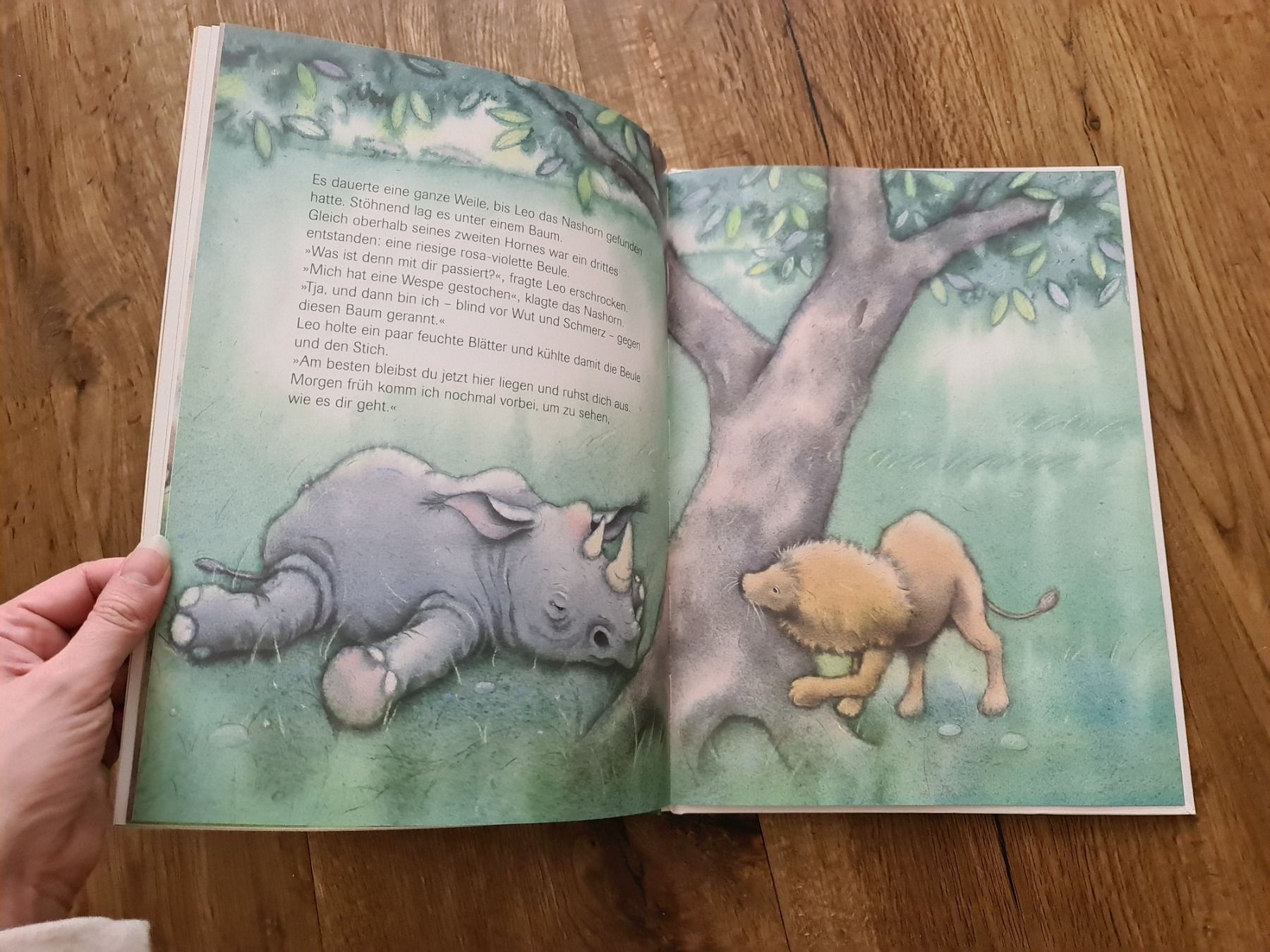Libri: Zauberwald buch – Usato da Wittenbach venduto da Tigerlili 1