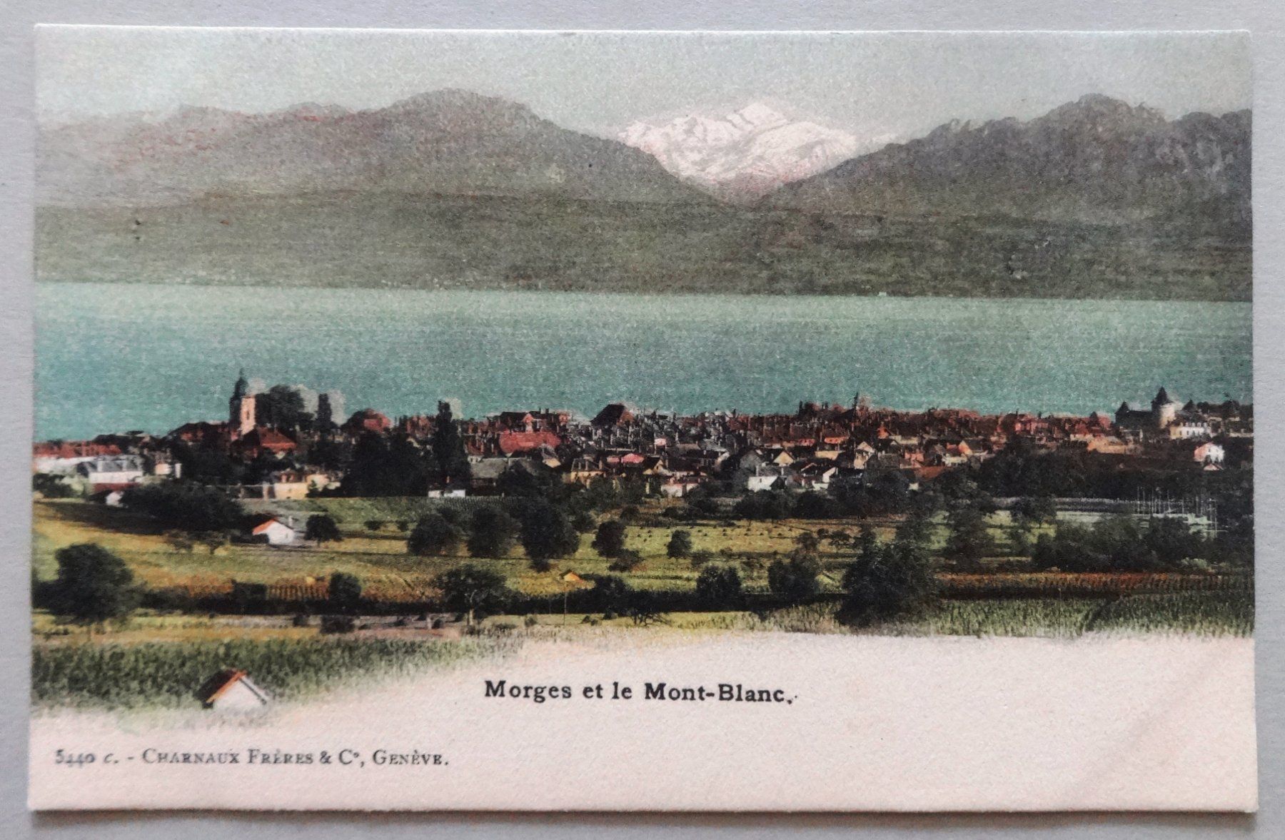 Ansichtskarten: Morges et le Mont-Blanc – Gebraucht aus Fétigny von Billy2miny