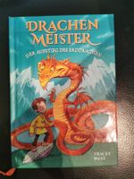Drachen Meister Der Aufstieg des Erd Drachen Buch