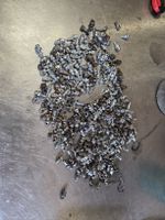 Sehr viele Mofa Gepäckträger und Schutzblech Strebe Klemmen